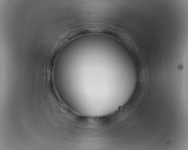 X0000114220697200910091348