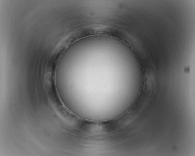 X0000114220698200910091348