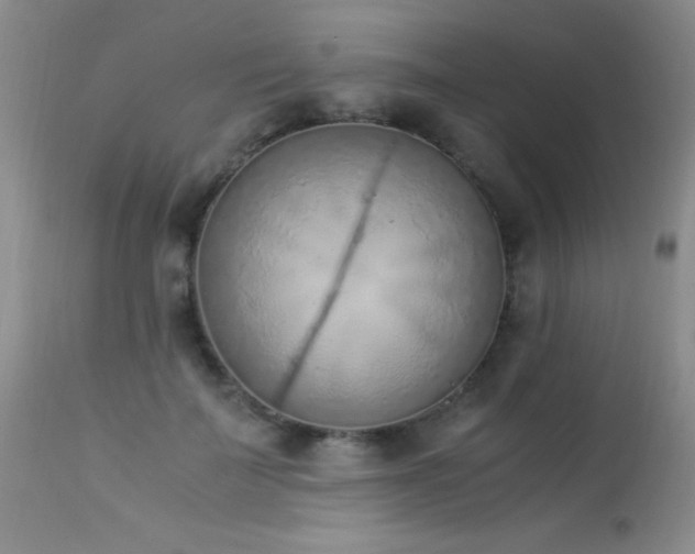 X0000114220699200910091348