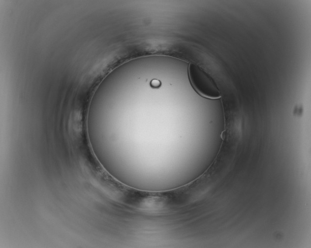 X0000114220700200910091348