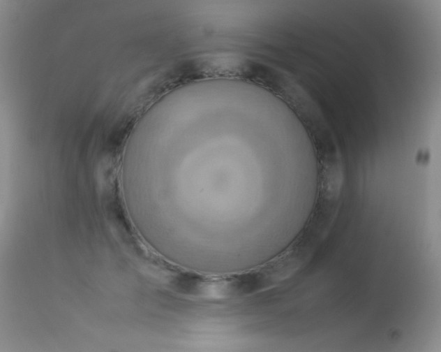 X0000114220701200910091348