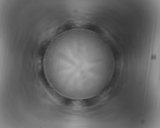 X0000114220703200910091348