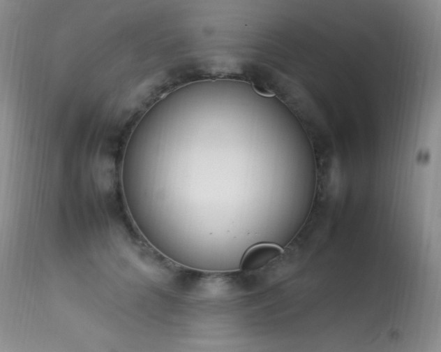 X0000114220704200910091348