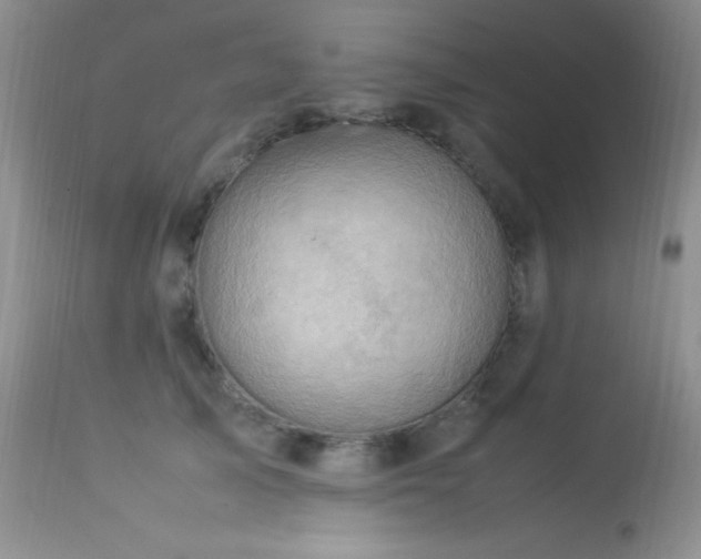 X0000114220705200910091348