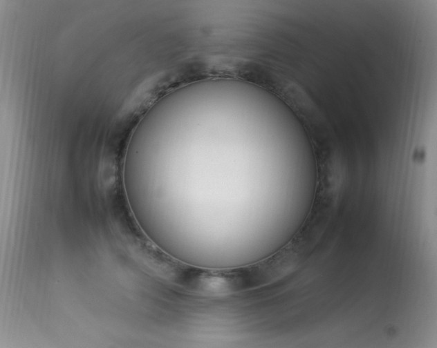 X0000114220706200910091348