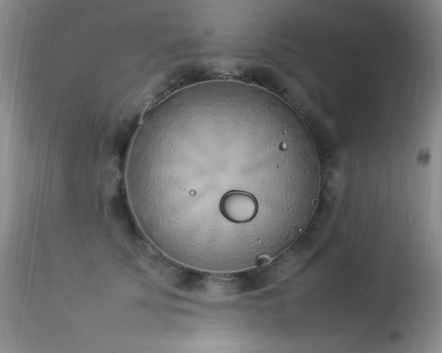 X0000114220707200910091348