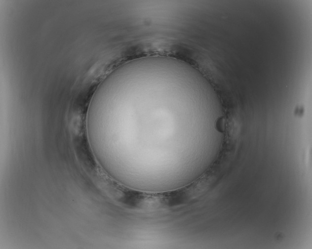 X0000114220709200910091348