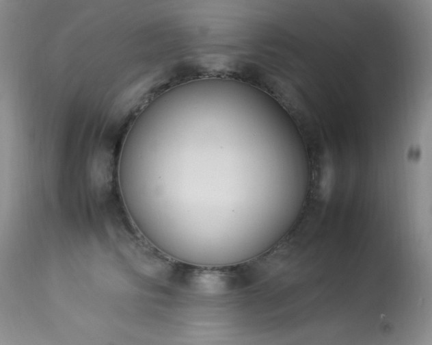 X0000114220710200910091348