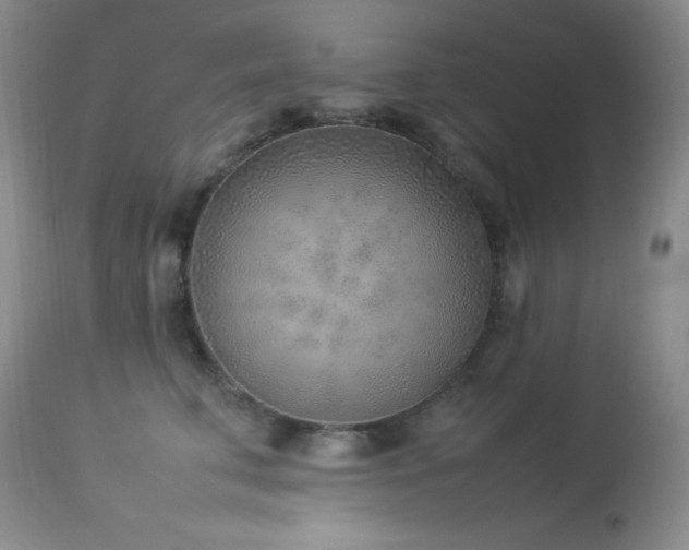 X0000114220711200910091348