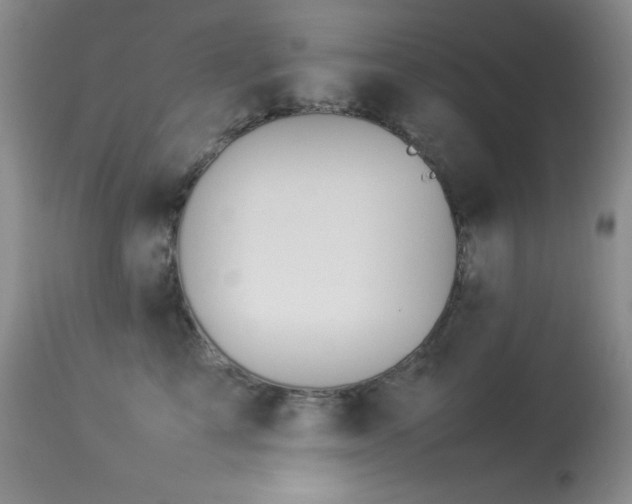 X0000114220713200910091347