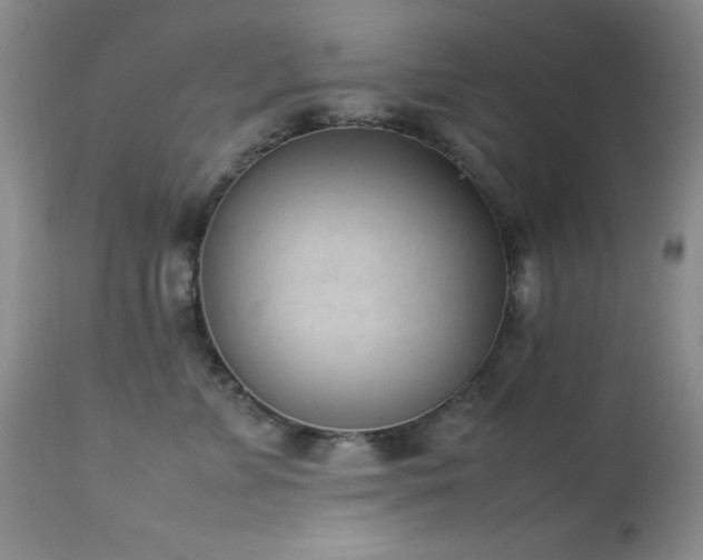 X0000114220715200910091347