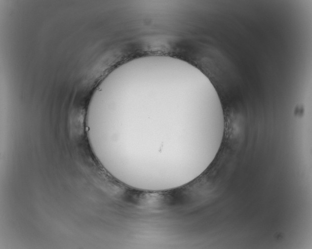 X0000114220717200910091347