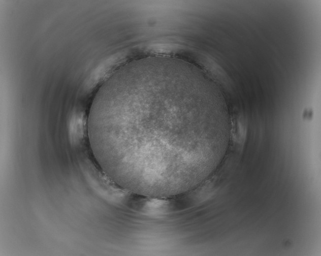 X0000114220718200910091347