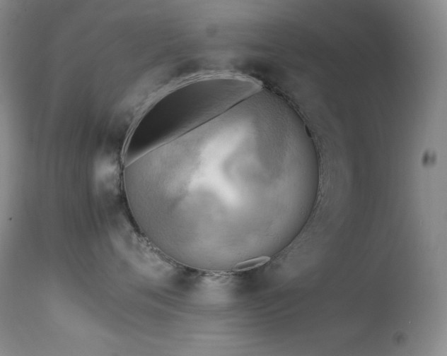 X0000114220720200910091347