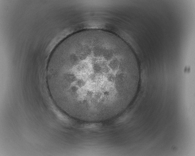 X0000114220721200910091347