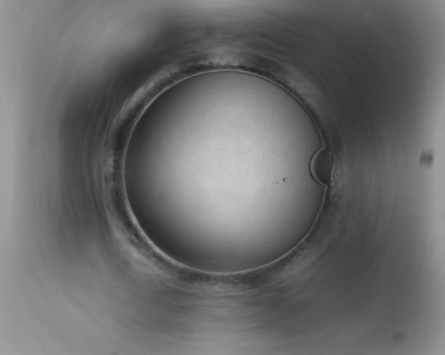 X0000114220722200910091347