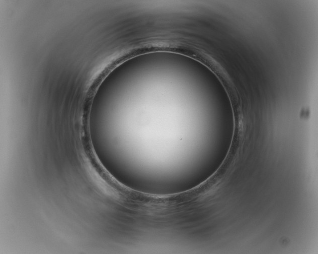 X0000114220725200910091347