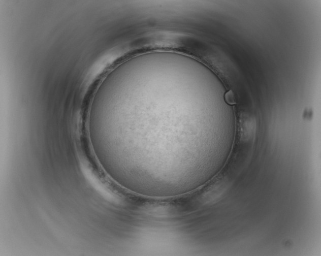 X0000114220726200910091347