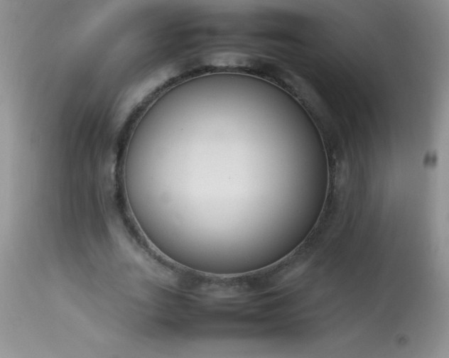 X0000114220727200910091347