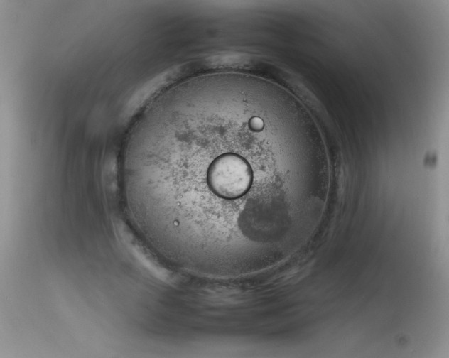 X0000114220729200910091347