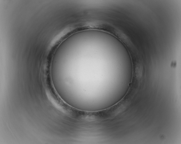 X0000114220730200910091347