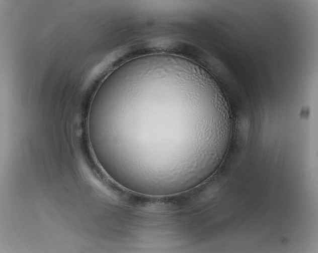 X0000114220734200910091347