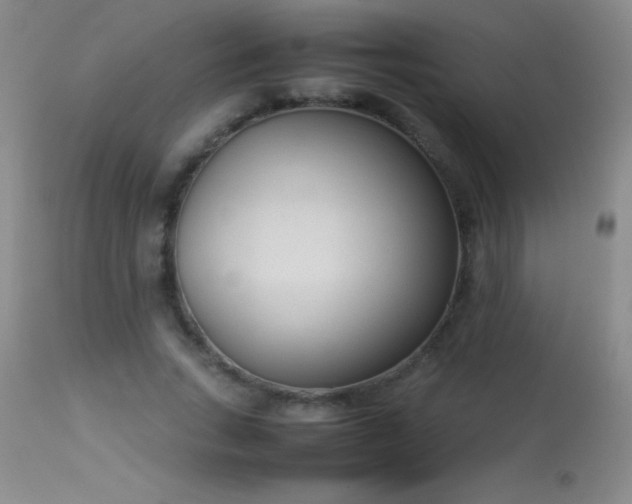 X0000114220735200910091347