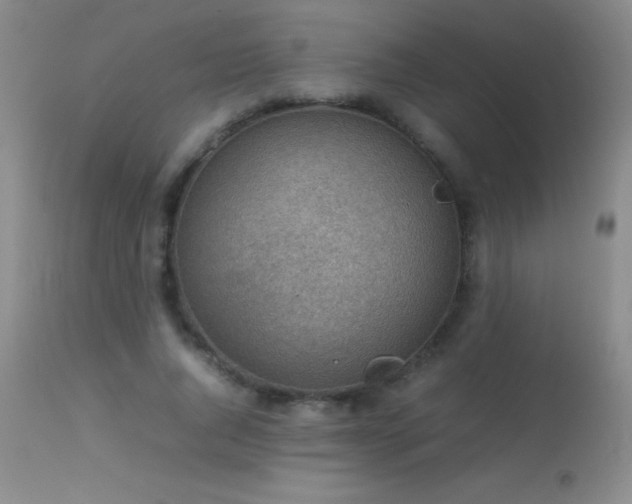 X0000114220736200910091347