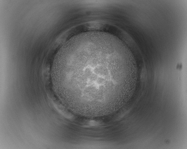 X0000114220737200910091347