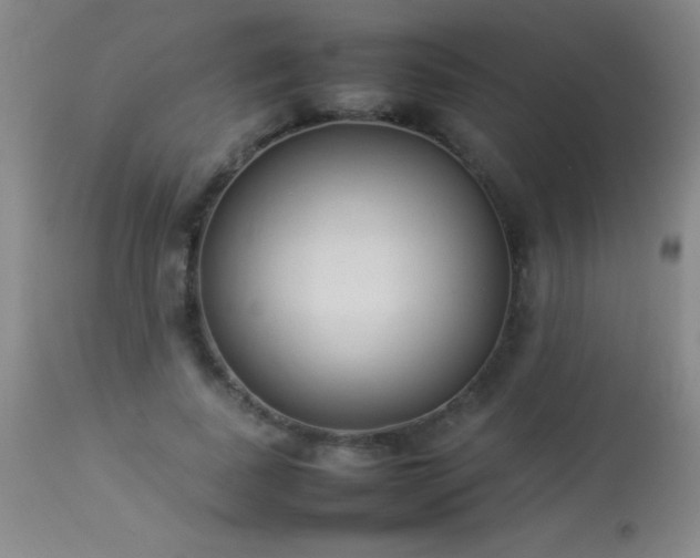 X0000114220739200910091347