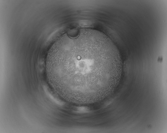 X0000114220741200910091347