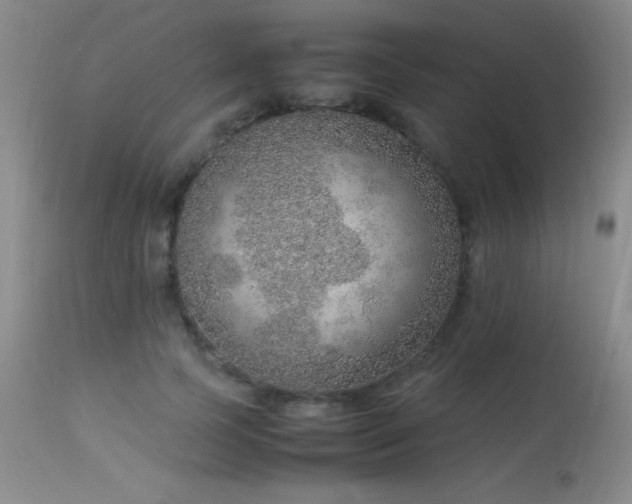 X0000114220745200910091347