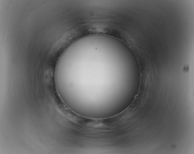 X0000114220747200910091347