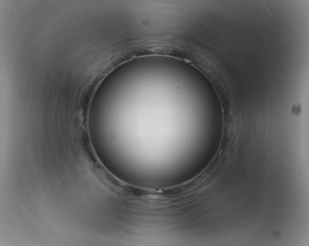 X0000114220748200910091347