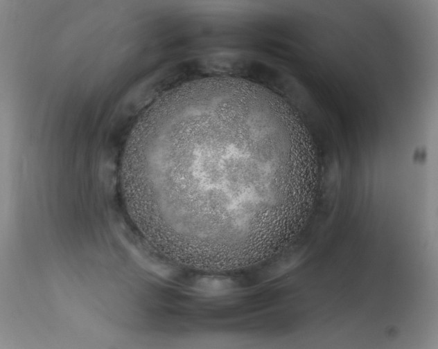 X0000114220749200910091347