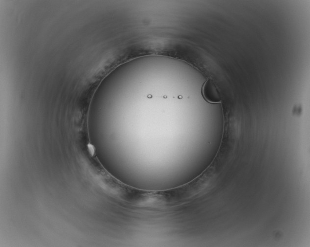 X0000114220750200910091347