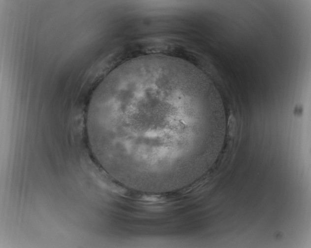 X0000114220753200910091347