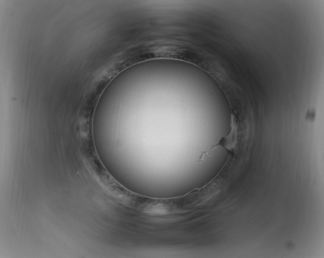 X0000114220755200910091347