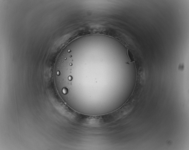 X0000114220756200910091347