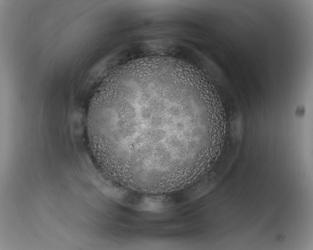 X0000114220757200910091347