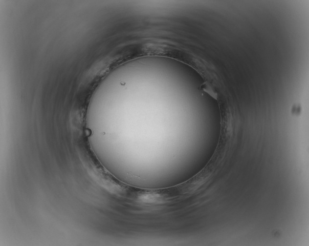 X0000114220759200910091347