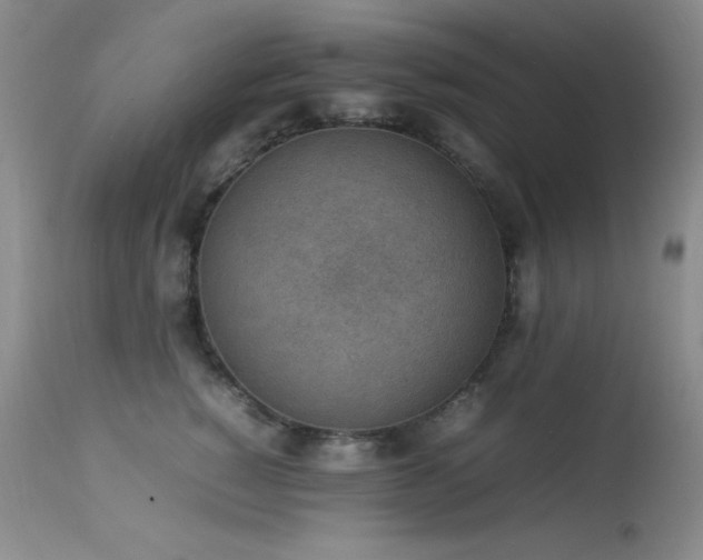 X0000114220760200910091347