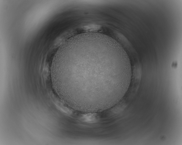 X0000114220761200910091347