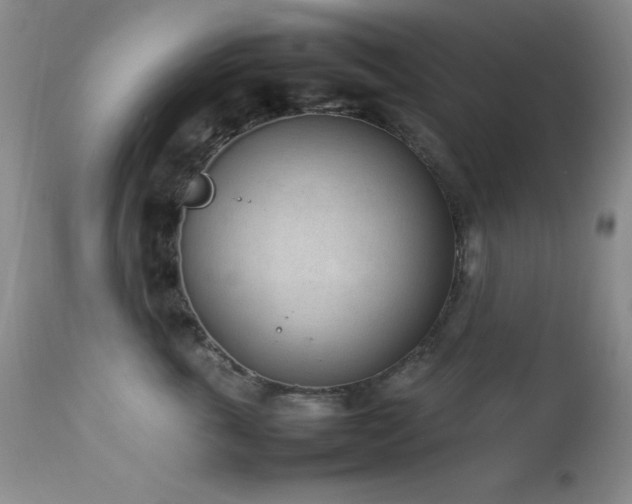 X0000114220763200910091347