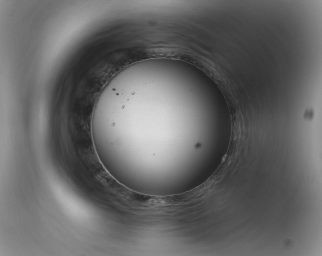 X0000114220764200910091347