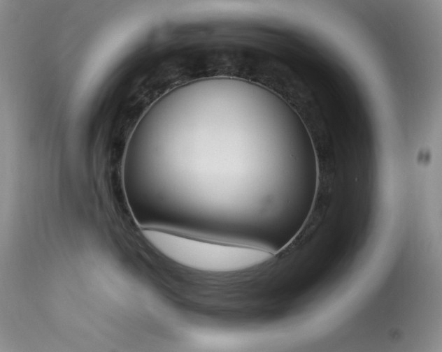 X0000114220766200910091347