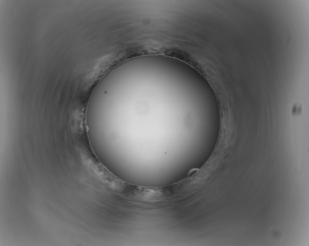 X0000114220768200910091347