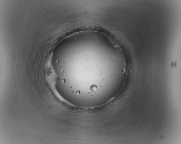 X0000114220769200910091347