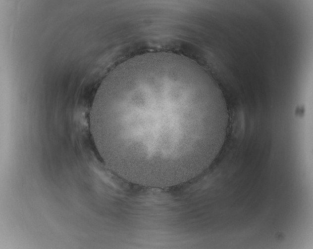 X0000114220770200910091347