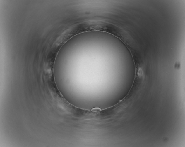 X0000114220771200910091347